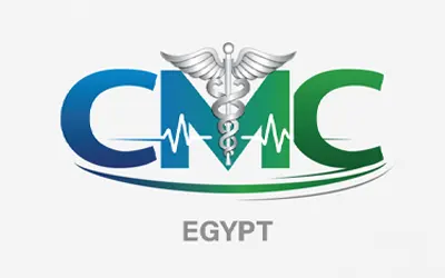 Head Office Egypt